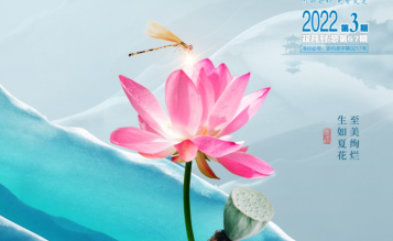 轉(zhuǎn)發(fā)浙江省招標(biāo)投標(biāo)協(xié)會(huì)_協(xié)會(huì)內(nèi)資 總第67期_2022年第3期《浙江招標(biāo)投標(biāo)》