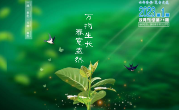 轉(zhuǎn)發(fā)浙江省招標(biāo)投標(biāo)協(xié)會(huì)_協(xié)會(huì)內(nèi)資 總第71期_2023年第1期《浙江招標(biāo)投標(biāo)》