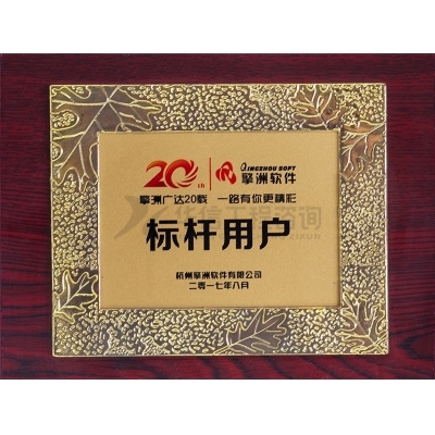 擎洲軟件標(biāo)桿用戶
